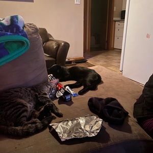 Meet your Posher, Greg